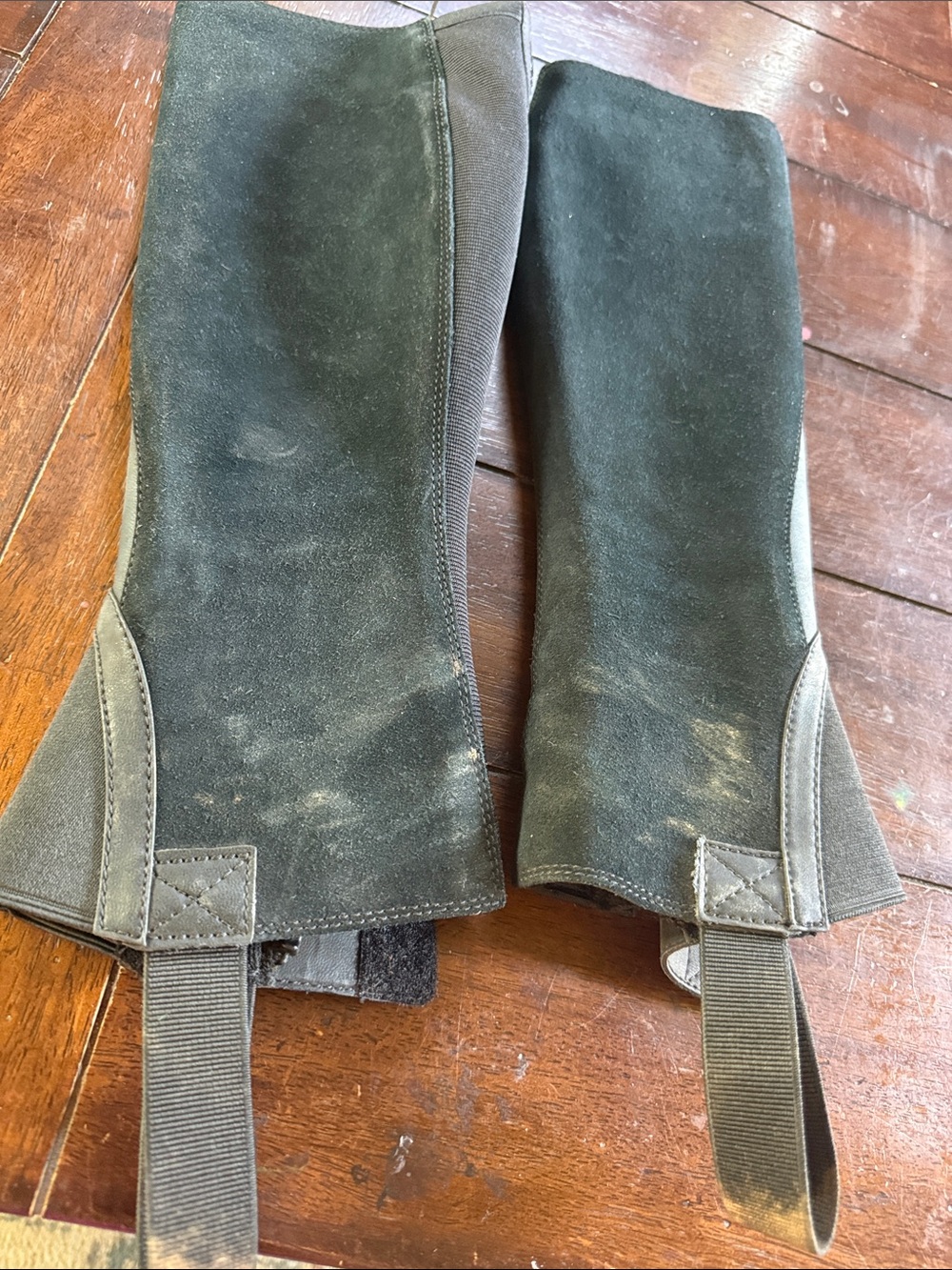 Ariat Half Chaps - Picture 7 of 7